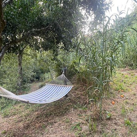 Nascente, Place In Nature Next To A Waterfall Loureiro  Exteriér fotografie