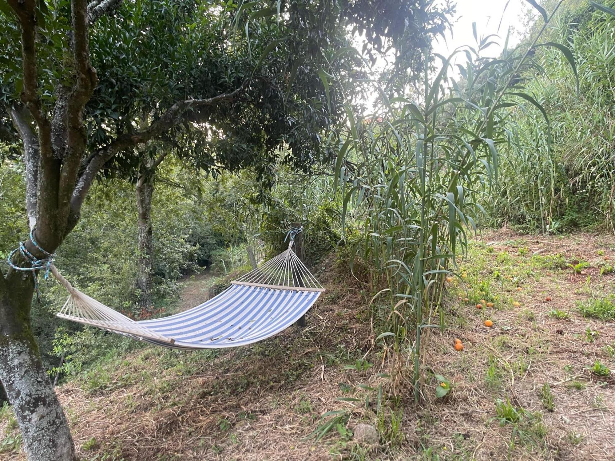Nascente, Place In Nature Next To A Waterfall Loureiro  Exteriér fotografie