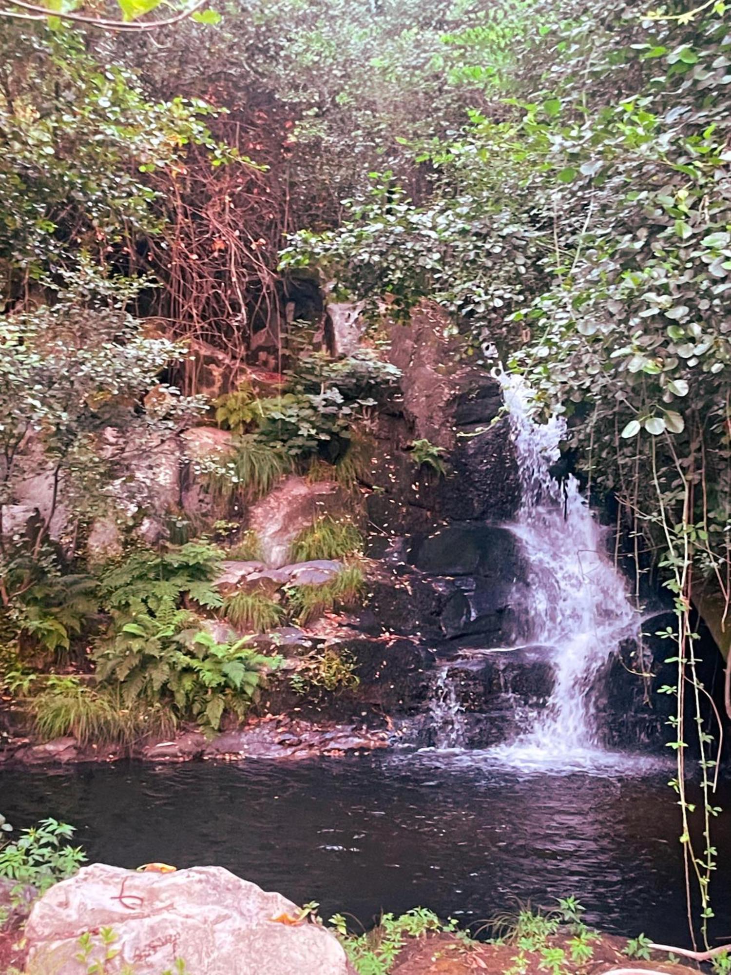 Nascente, Place In Nature Next To A Waterfall Loureiro  Exteriér fotografie